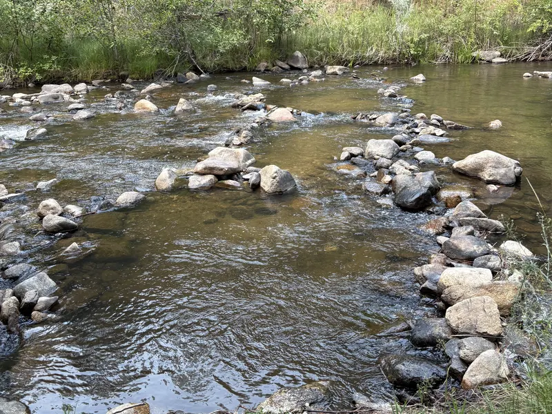 Mores Creek running clear and shallow over rounded stones, with green banks and pines beyond.